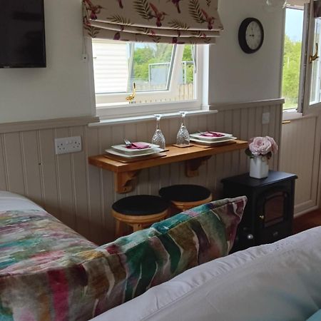 Shepherd Hut Bird Enniskillen, Fermanagh Extérieur photo