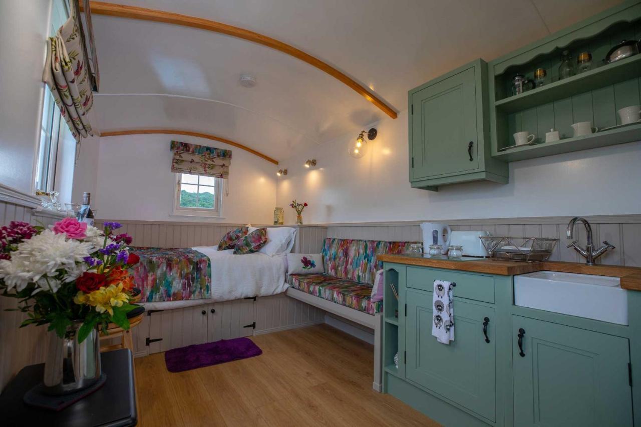 Shepherd Hut Bird Enniskillen, Fermanagh Extérieur photo